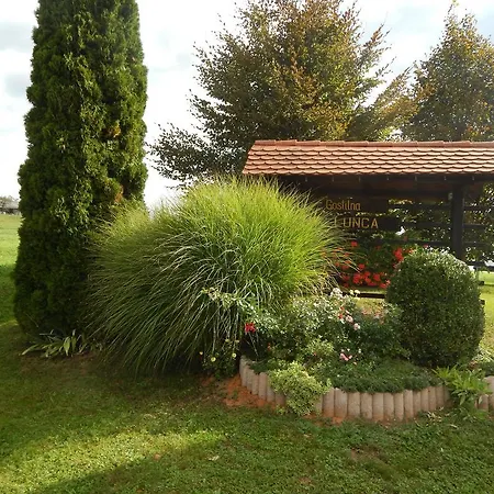 Gostisce Lunca Inn
